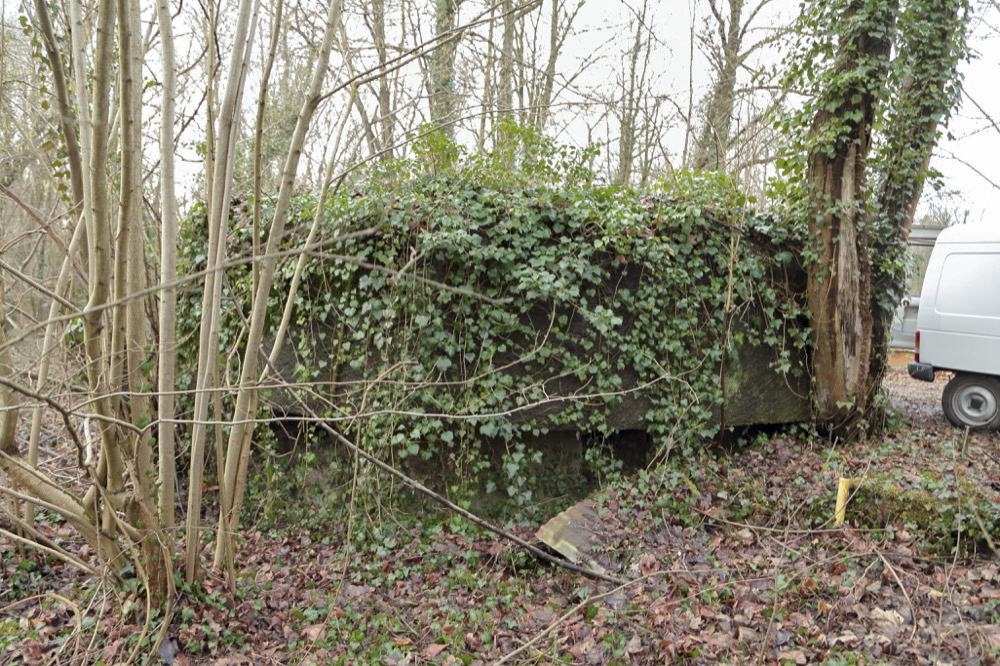 Ligne Maginot - NEUF-EMPERT 4 - (Blockhaus pour arme infanterie) - Vue générale de la façade frontale - Les Gardiens du Rhin