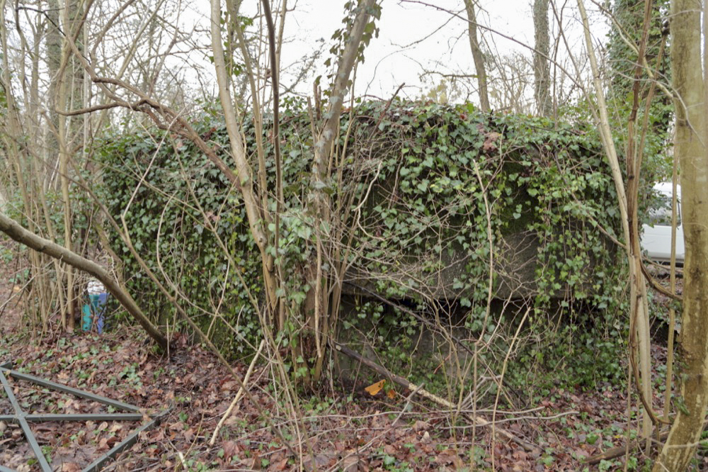 Ligne Maginot - NEUF-EMPERT 4 - (Blockhaus pour arme infanterie) - Vue générale de la façade regardant le Steingiessen - Les Gardiens du Rhin