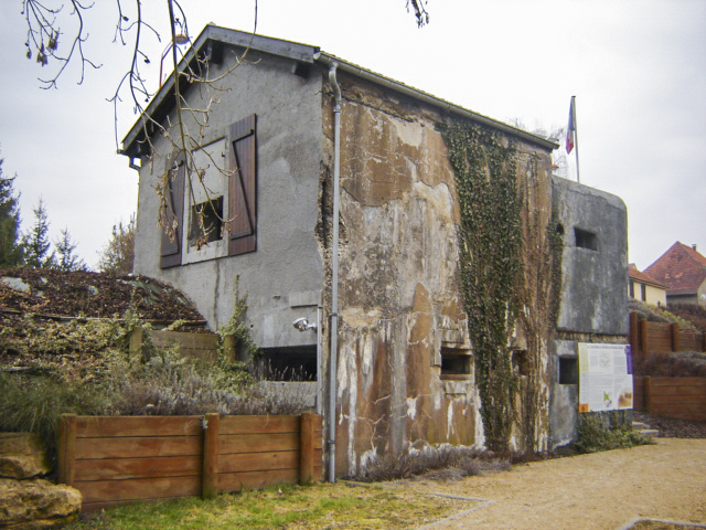 Ligne Maginot - WILLERWALD 1 (AVANT POSTE) - (Blockhaus pour canon) -  - Patrick KRETTNICH