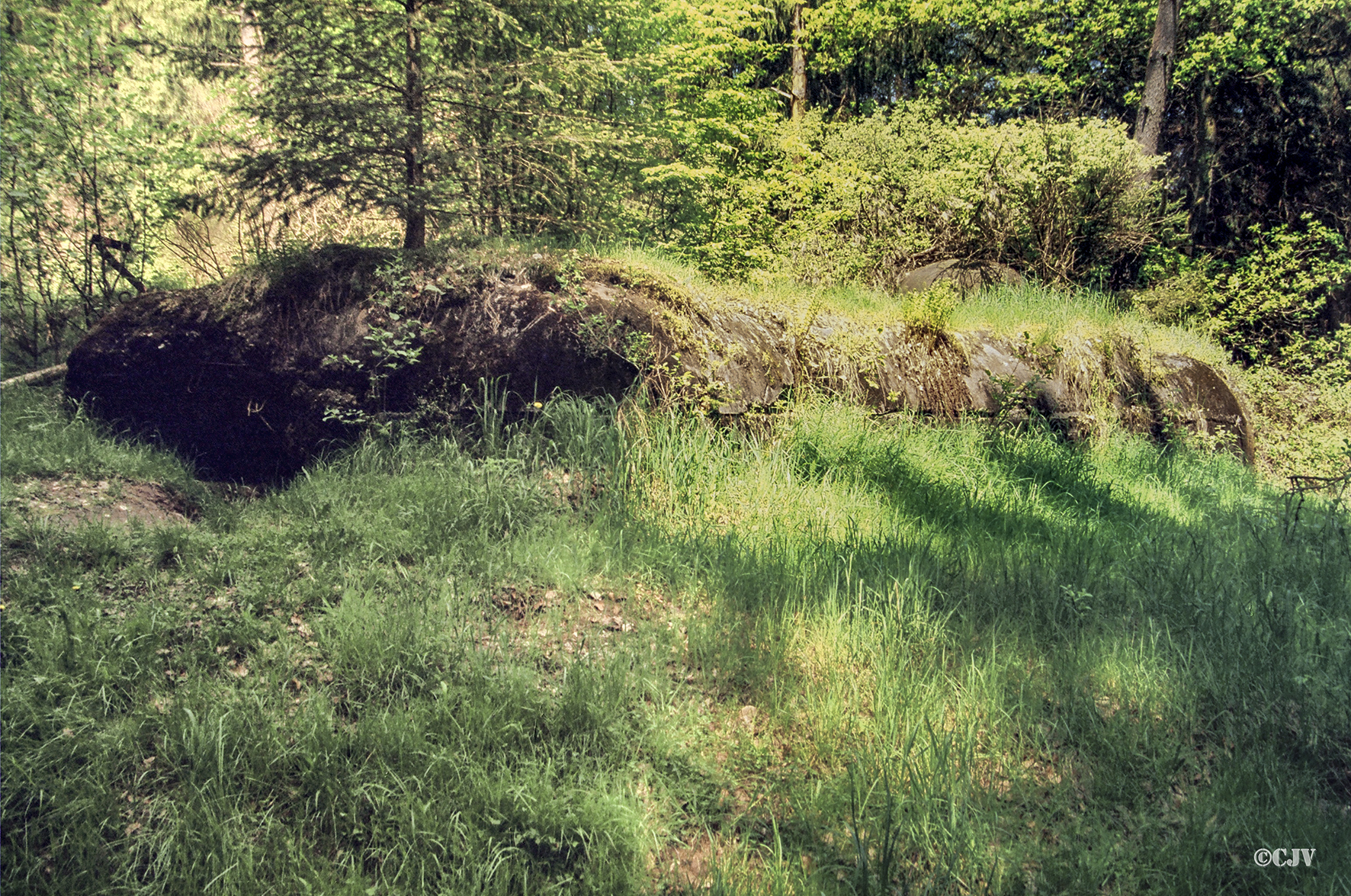 Ligne Maginot - ROTHENBOURG - (Casemate d'infanterie - Double) - La casemate remblayée - Lia VERMEULEN