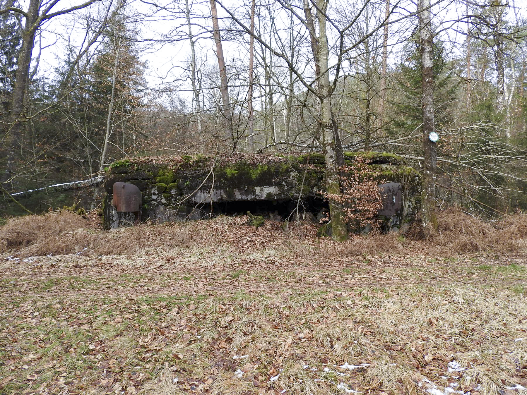 Ligne Maginot - NONNENKOPF - (Casemate d'infanterie - Double) - La casemate en 2018 - STENGER Mathieu