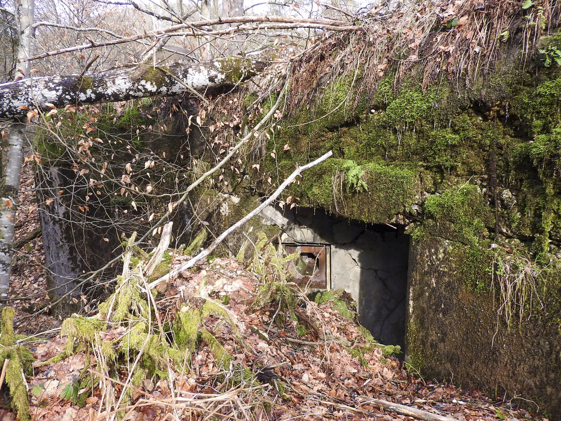 Ligne Maginot - NONNENKOPF - (Casemate d'infanterie - Double) - Le flanquement vers l'Ouest - STENGER Mathieu