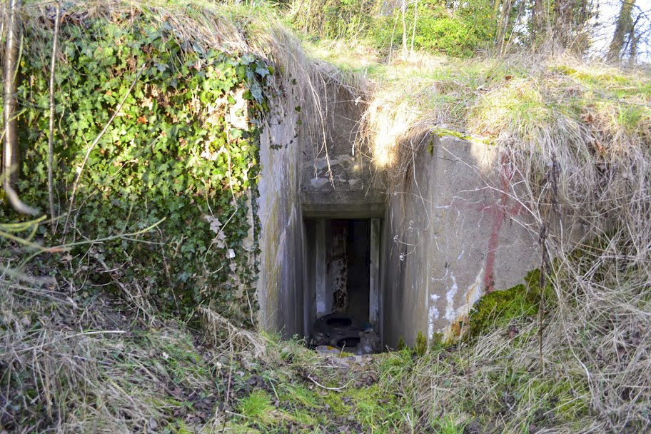 Ligne Maginot - OBSERVATOIRE EST DES CERISIERS - (Observatoire d'artillerie) - Entrée de l'observatoire - PAVEL Jan