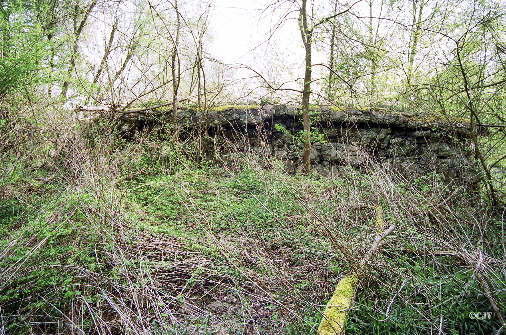 Ligne Maginot - PAYSANS - (Casemate d'infanterie - Simple) - Ruines de la casemate - Caspar Vermeulen