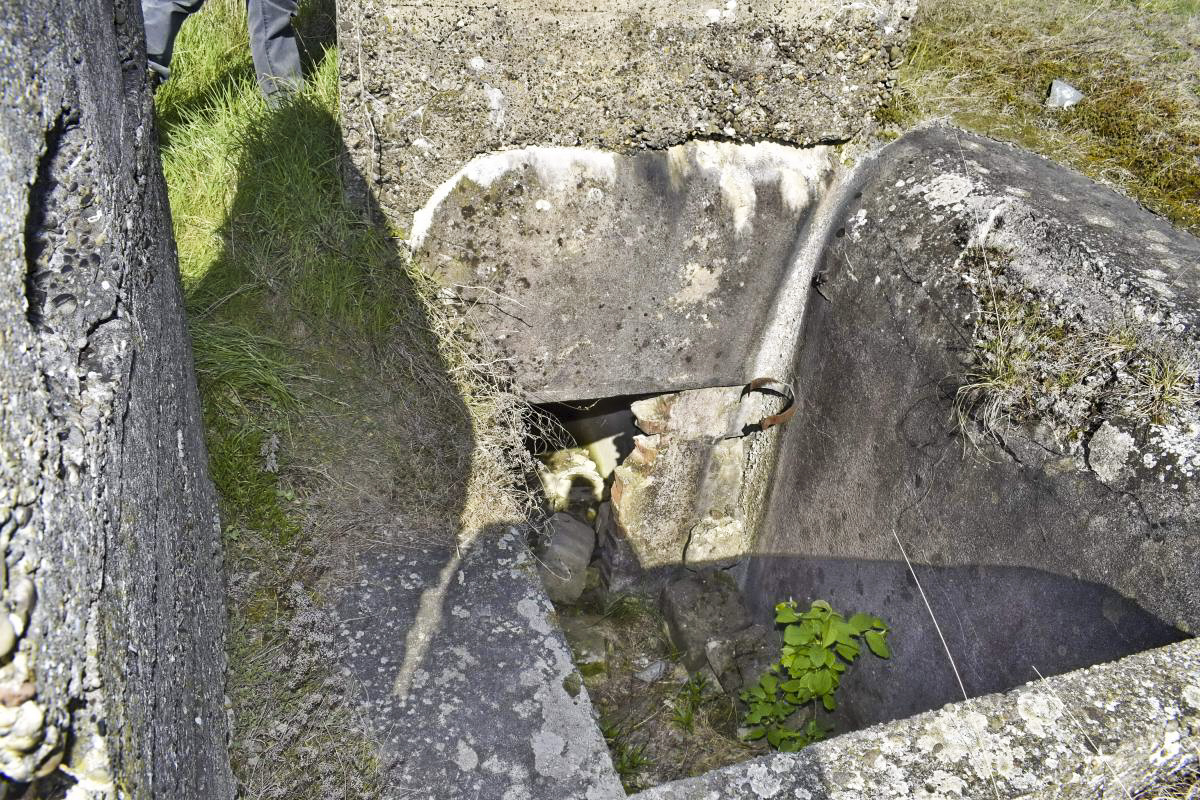 Ligne Maginot - SPORENINSEL - (Casemate d'infanterie - Double) - L'accès à la casemate depuis la berge - D. Froehly