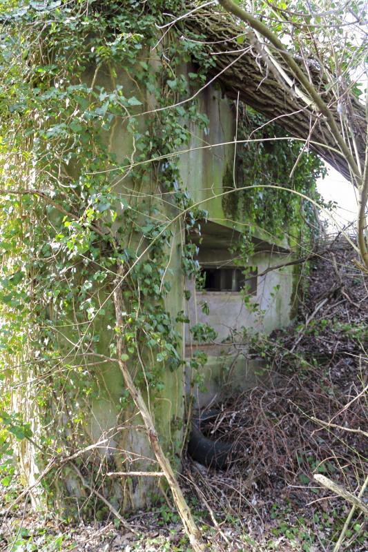Ligne Maginot - ALTSCHOLLEN - (Blockhaus pour arme infanterie) - Embrasure gauche - A. SCHOEN