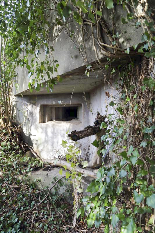 Ligne Maginot - ALTSCHOLLEN - (Blockhaus pour arme infanterie) - Embrasure droite - A. SCHOEN