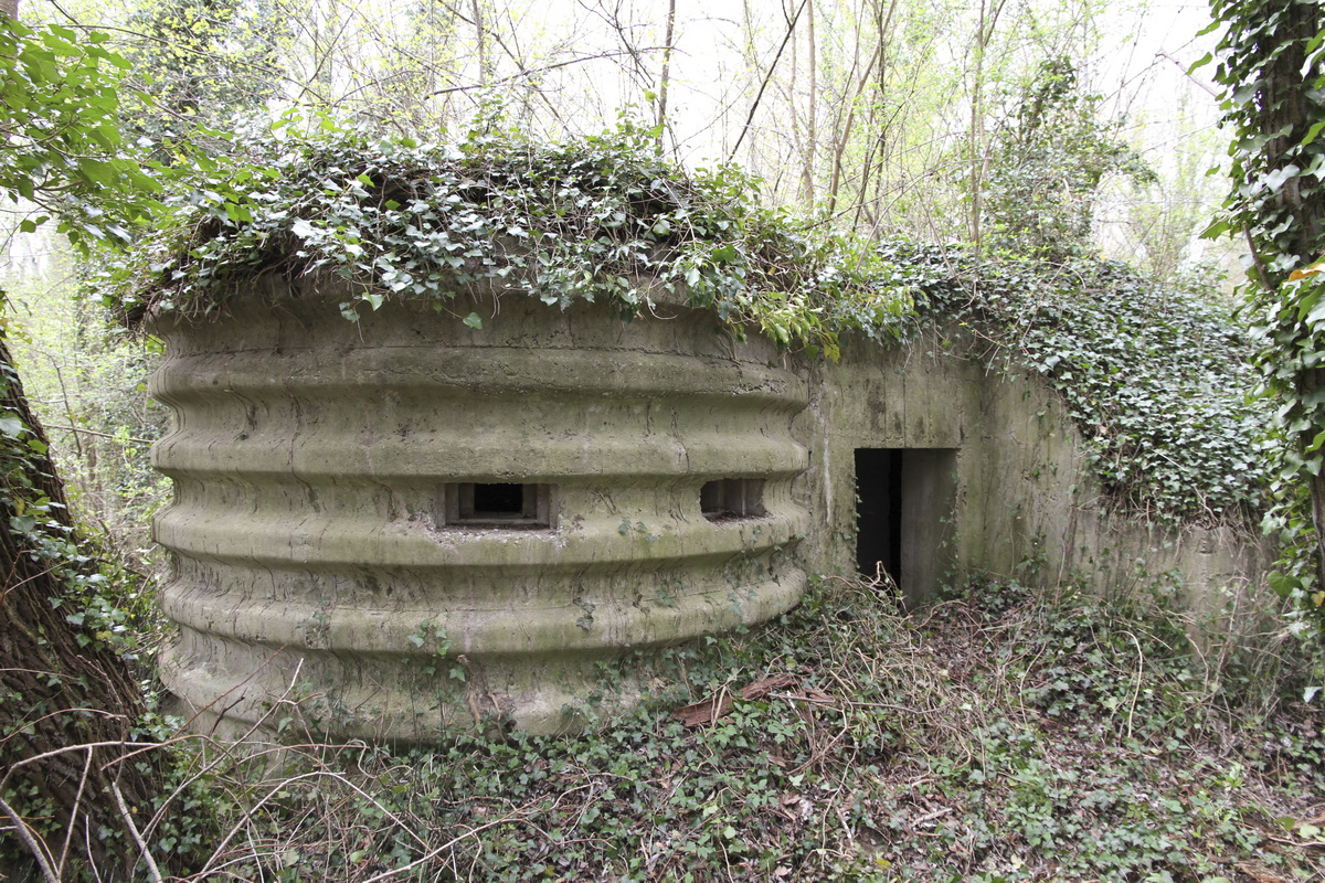 Ligne Maginot - AP13 - RHEINGIESSEN - (Blockhaus pour arme infanterie) - Vue de la partie active et son entrée - Alain Perouffe