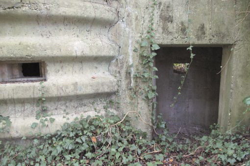 Ligne Maginot - AP13 - RHEINGIESSEN - (Blockhaus pour arme infanterie) -  - AALMA - lignemaginot.com