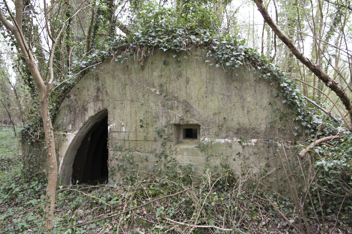 Ligne Maginot - AP13 - RHEINGIESSEN - (Blockhaus pour arme infanterie) - Vue arrière. Entrée de l'abri accolé - Alain Perouffe