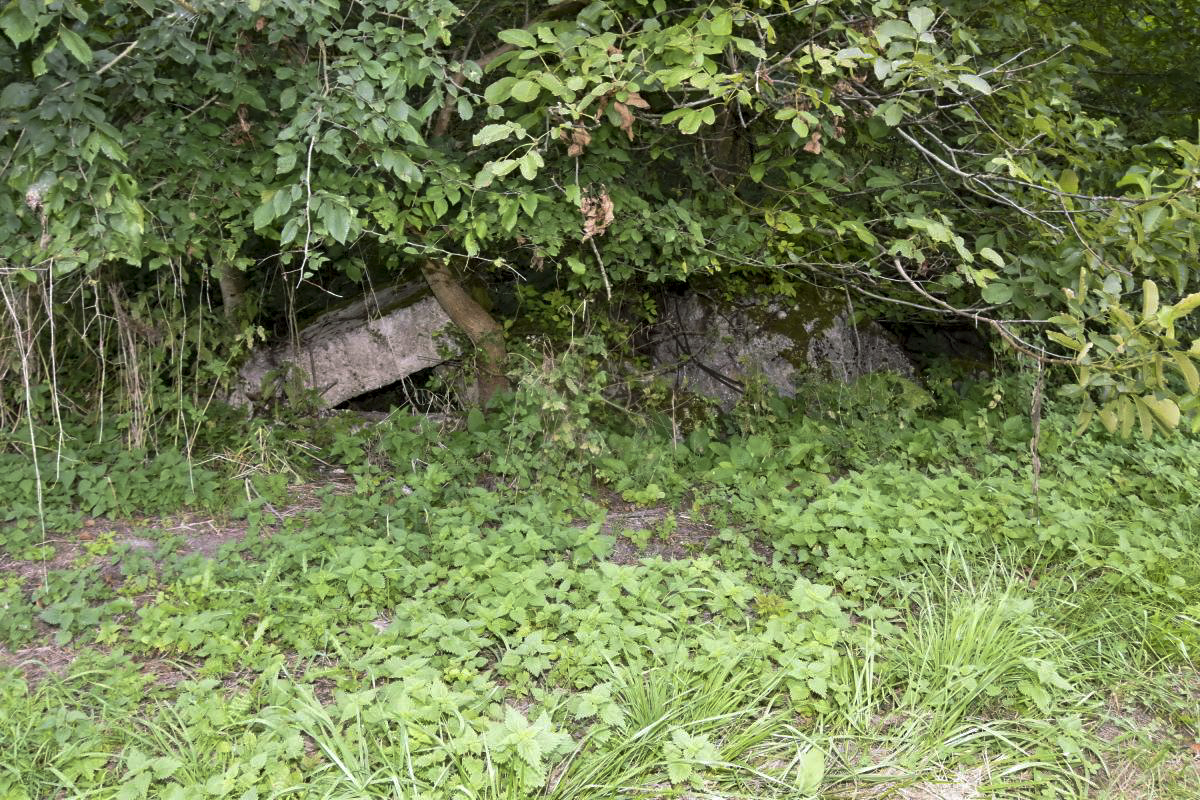 Ligne Maginot - AP16 - RHINAU SUD 2 - (Blockhaus pour arme infanterie) -  - Daniel Froehly
