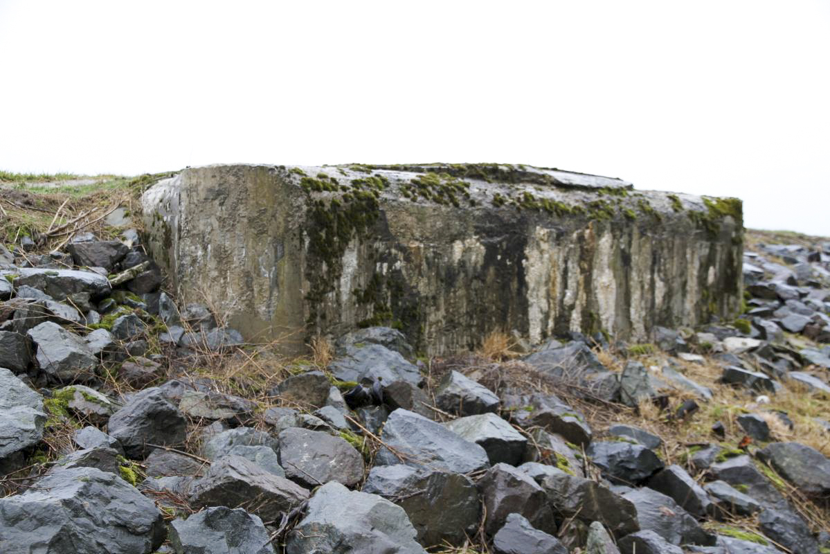 Ligne Maginot - Blockhaus AUKOPF Sud - Le bloc a presque disparu dans la digue du Rhin canalisé - Alain Perouffe