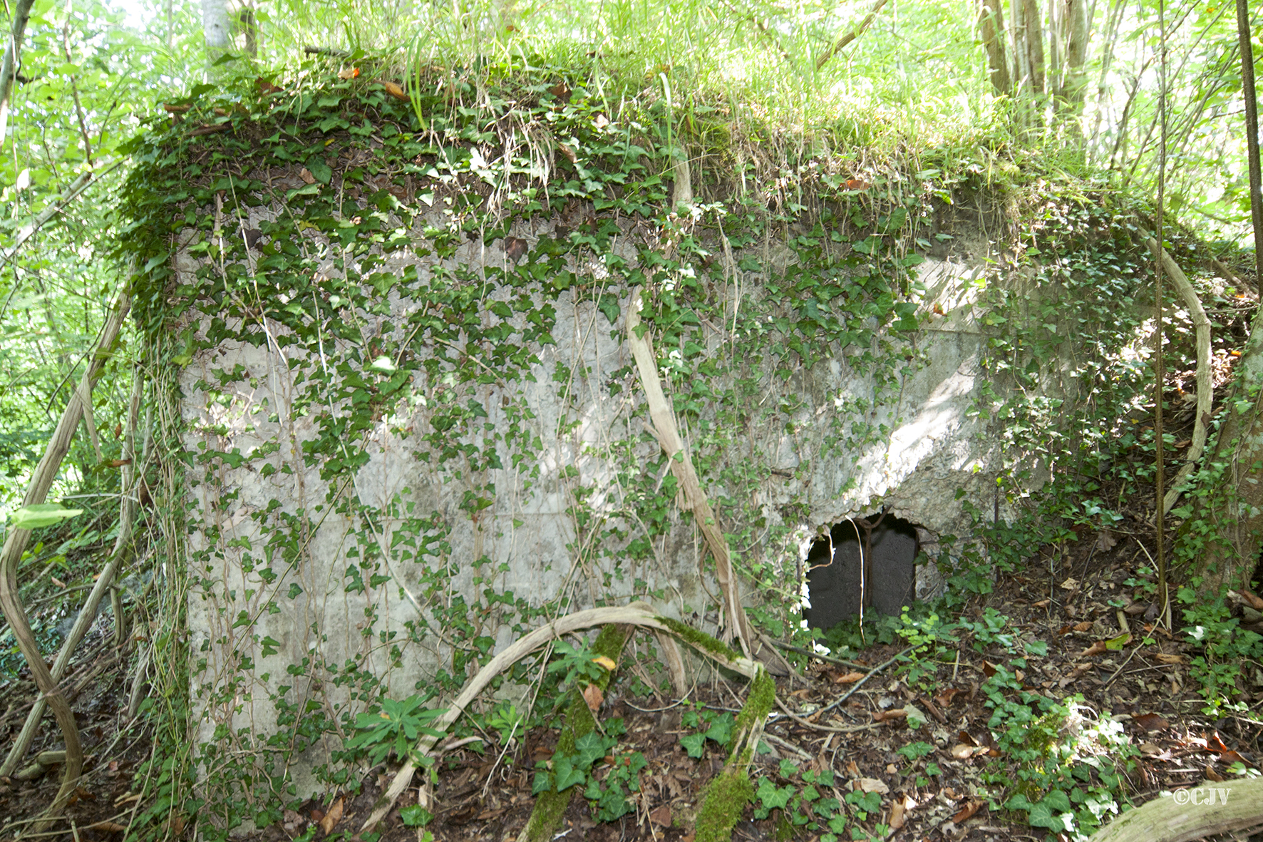 Ligne Maginot - DAUBENSAND 1 - (Abri) -  - Caspar Vermeulen