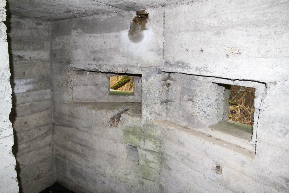 Ligne Maginot - DIGUE DE FRIESENHEIM 4 - (Blockhaus pour arme infanterie) -  - Alain Perouffe