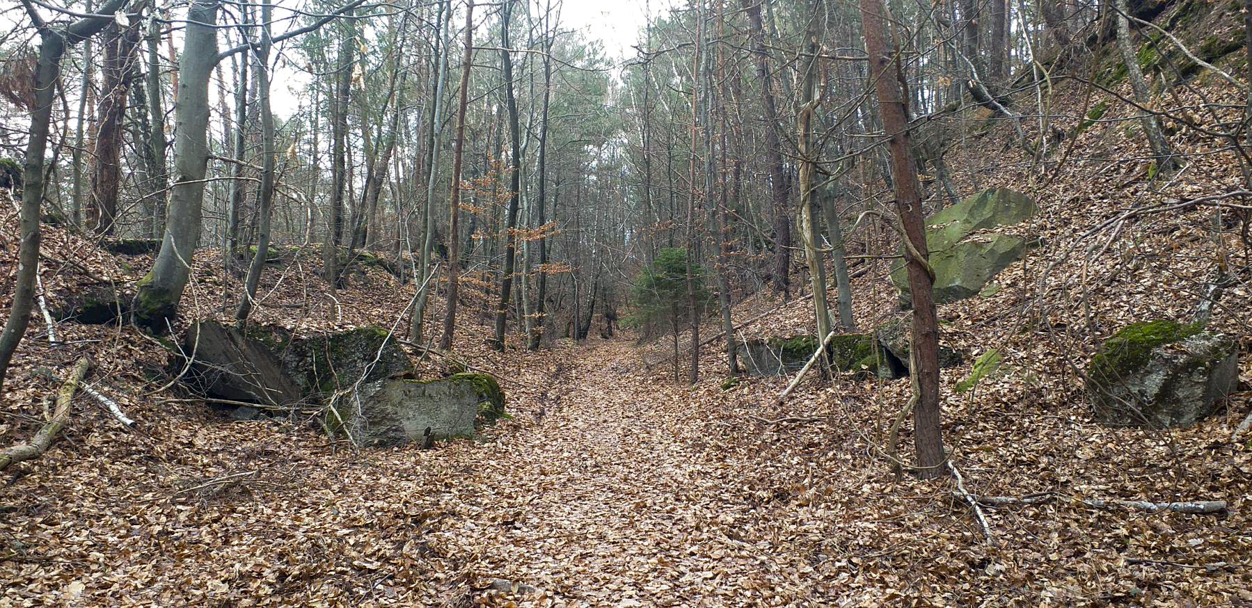 Ligne Maginot - HOCHWALD - RéDUIT - (Ouvrage d'infanterie) - Chemin d'accès au réduit - Gregory Fuchs
