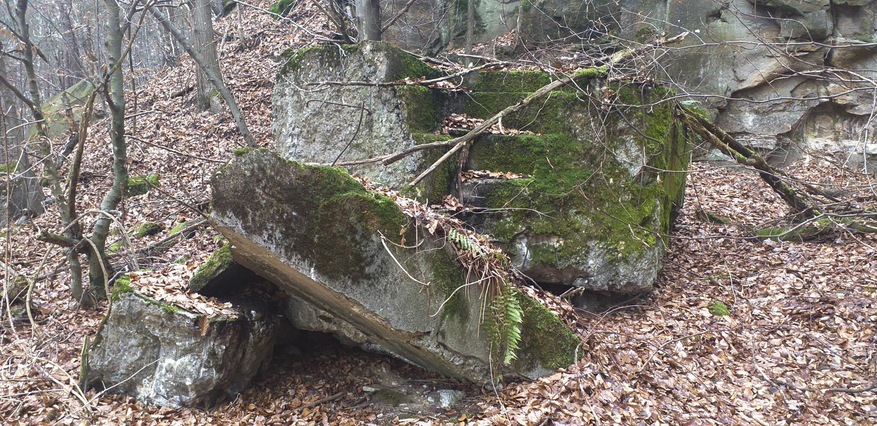 Ligne Maginot - HOCHWALD - RéDUIT - (Ouvrage d'infanterie) - Le mur de façade du blockhaus de défense de l'entrée. On distingue les gradins d'un créneau - Gregory Fuchs