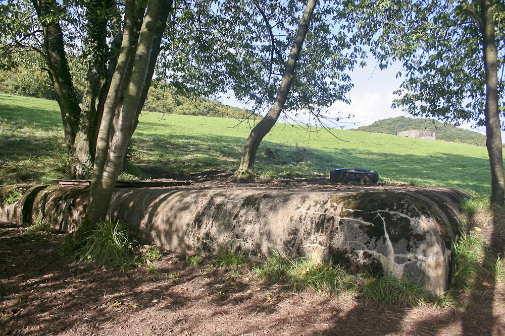 Ligne Maginot - 46M - (Chambre de coupure) - Noter le blockhaus Cb151 à l'arrière-plan - Michel Teiten