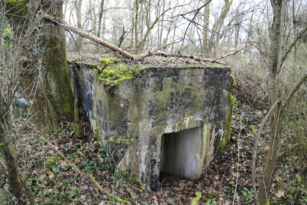 Ligne Maginot - GERSTHEIM 1 (TêTE DE PONT DE ) - (Abri) -  - Les Gardiens du Rhin