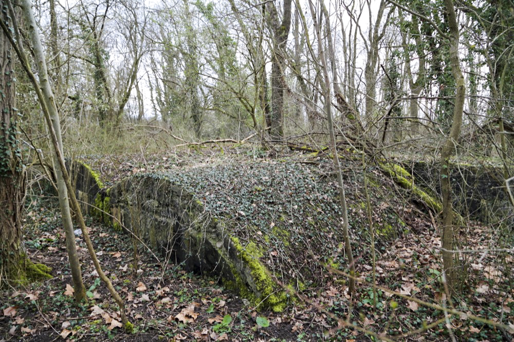Ligne Maginot - GERSTHEIM 1 (TêTE DE PONT DE ) - (Abri) - Vue générale extérieure des deux alvéoles - Les Gardiens du Rhin