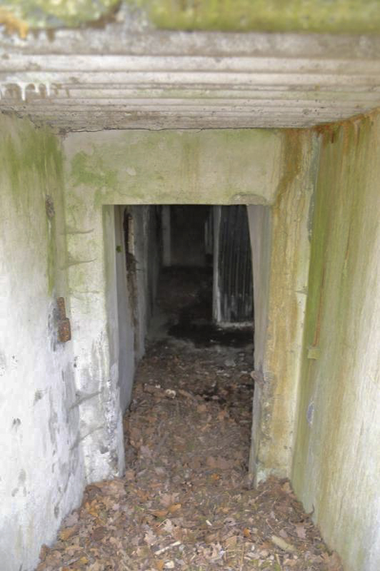 Ligne Maginot - GERSTHEIM 1 (TêTE DE PONT DE ) - (Abri) -  - Les Gardiens du Rhin