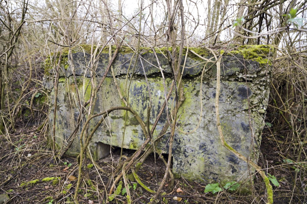 Ligne Maginot - GERSTHEIM 2 (TêTE DE PONT DE ) - (Abri) - L'entrée sud bouchée vue de l'extérieur - Les Gardiens du Rhin