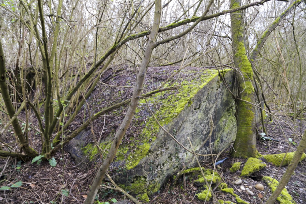 Ligne Maginot - GERSTHEIM 2 (TêTE DE PONT DE ) - (Abri) - Vue générale extérieure de l'alvéole - Les Gardiens du Rhin