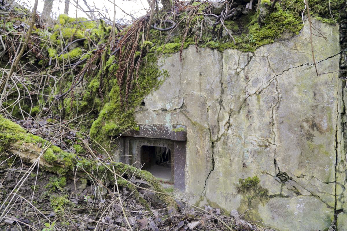 Ligne Maginot - GERSTHEIM SUD - (Casemate d'infanterie - double) -  - Les Gardiens du Rhin