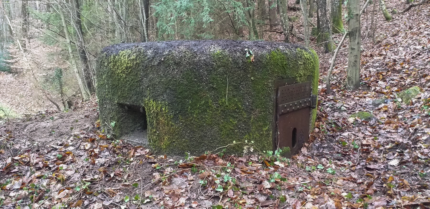 Ligne Maginot - PFAFFENSCHLICK NORD - (Blockhaus pour arme infanterie) - Créneau de gauche - Gregory Fuchs