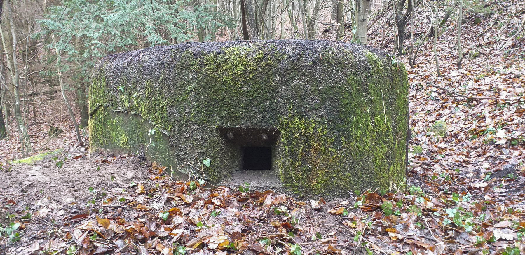 Ligne Maginot - PFAFFENSCHLICK NORD - (Blockhaus pour arme infanterie) - Créneau de gauche - Gregory Fuchs