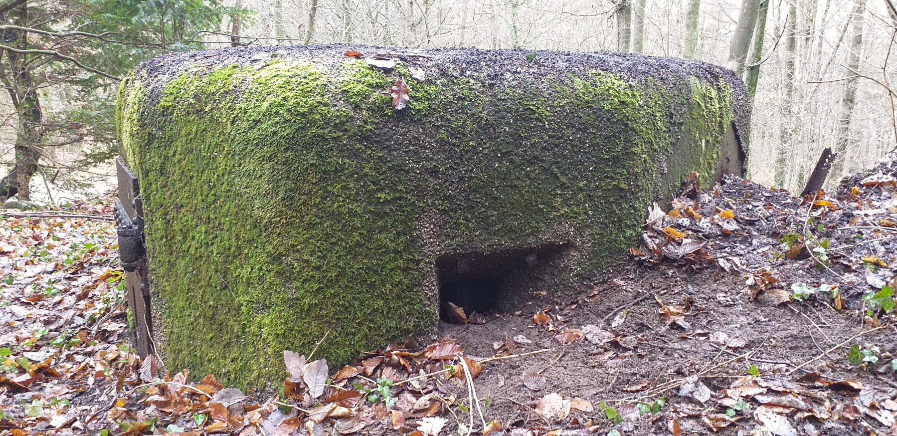 Ligne Maginot - PFAFFENSCHLICK NORD - (Blockhaus pour arme infanterie) - Créneau de droite - Gregory Fuchs