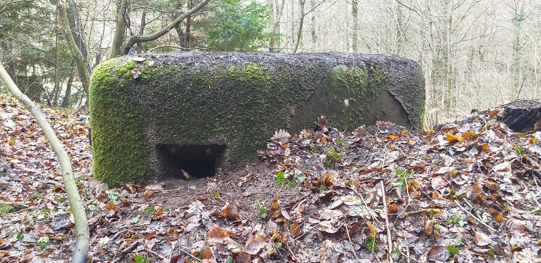 Ligne Maginot - PFAFFENSCHLICK NORD - (Blockhaus pour arme infanterie) - Créneau de droite - Gregory Fuchs
