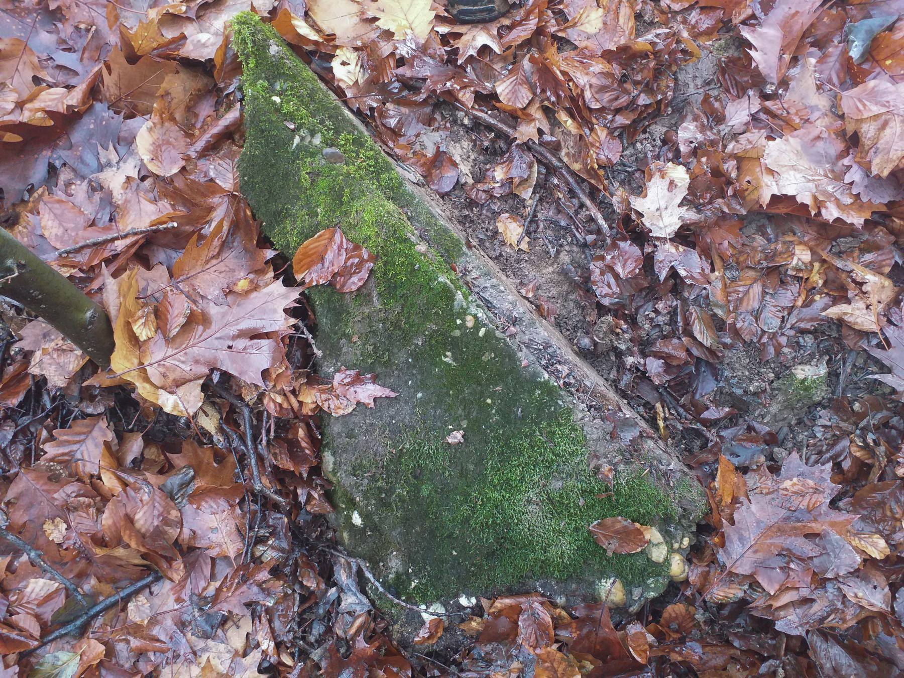 Ligne Maginot - OBERWALD 3 - (Cuve pour canon) - Fragment de béton - Gregory Fuchs