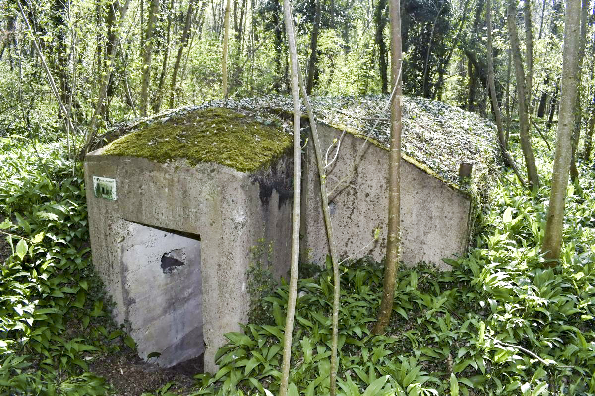 Ligne Maginot - HERRENFELD (II/34°RIF ) - (PC de Quartier) - Abri 1 - D. Froehly