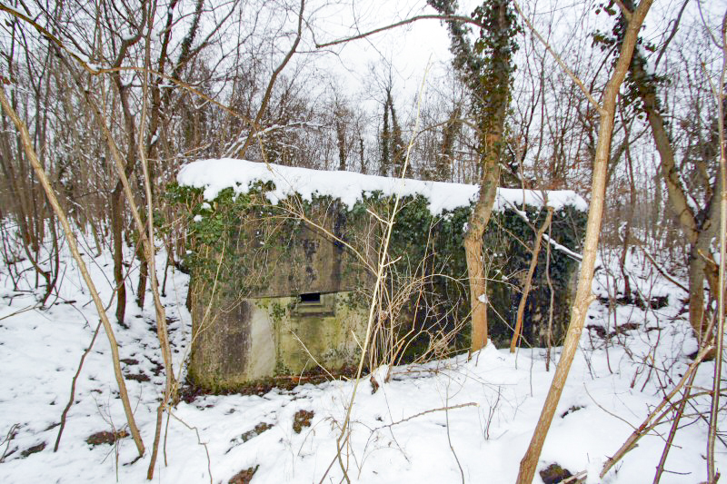 Ligne Maginot - HERRENFELD (II/34°RIF ) - (PC de Quartier) - Abri 2 - Les Gardiens du Rhin