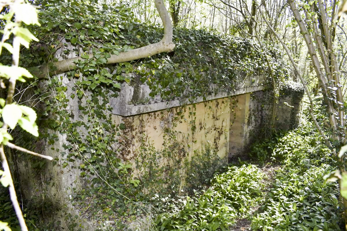 Ligne Maginot - HERRENFELD (II/34°RIF ) - (PC de Quartier) - Abri 2 - D. Froehly