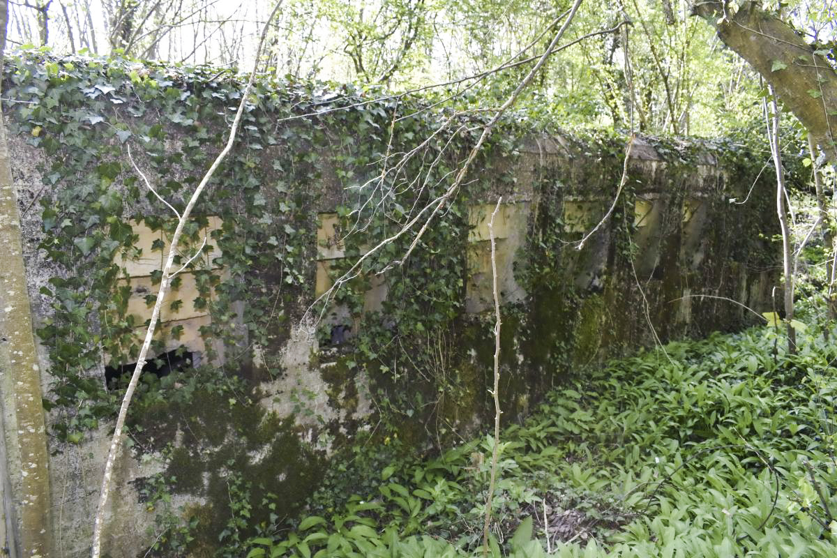 Ligne Maginot - HERRENFELD (II/34°RIF ) - (PC de Quartier) - Abri 2 - D. Froehly