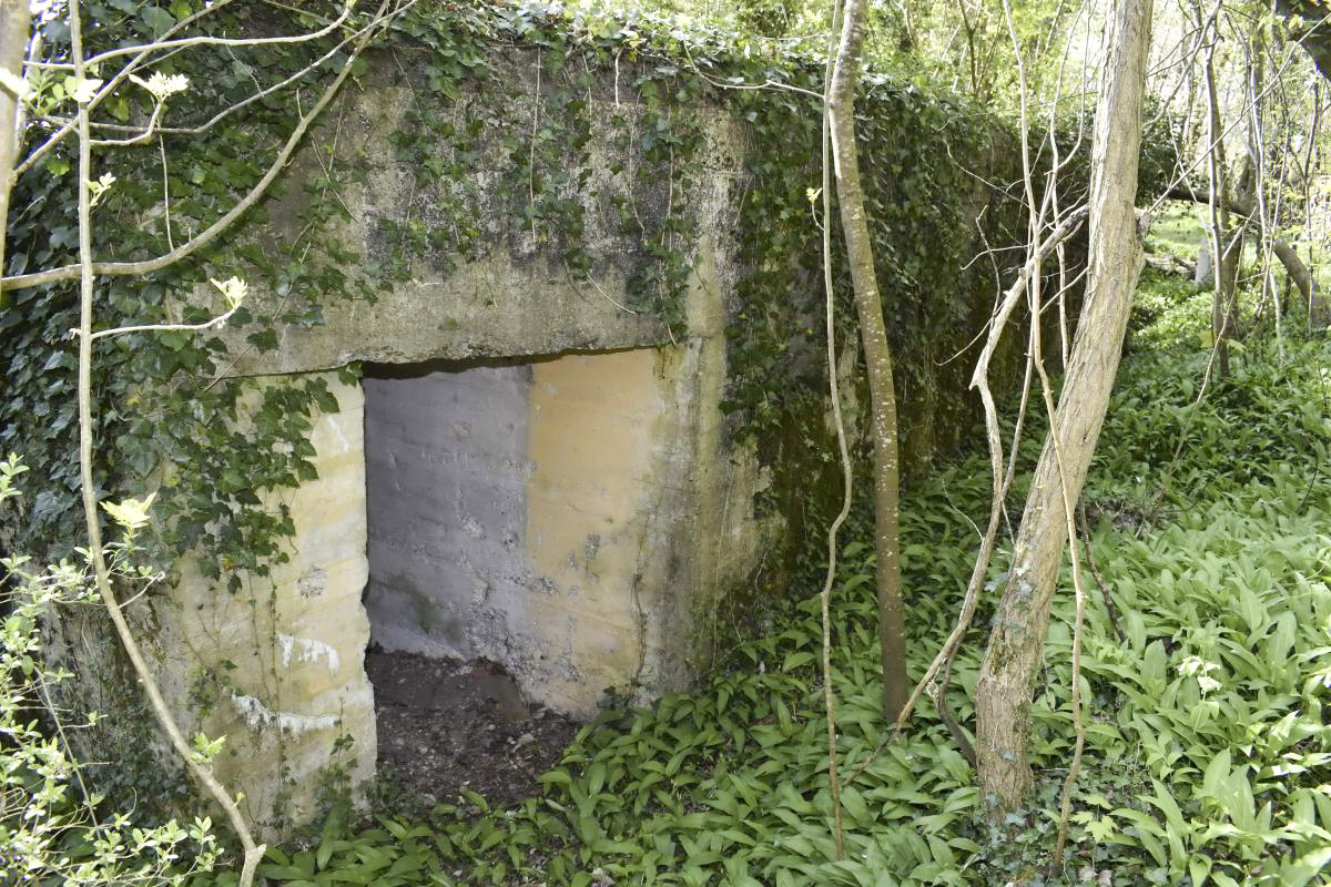 Ligne Maginot - HERRENFELD (II/34°RIF ) - (PC de Quartier) - Abri 2 - D. Froehly