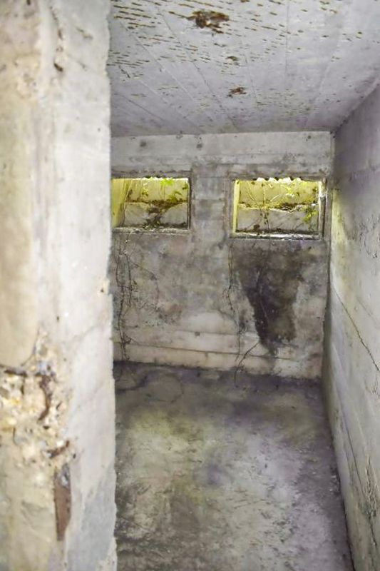 Ligne Maginot - HERRENFELD (II/34°RIF ) - (PC de Quartier) - Abri 2 - D. Froehly