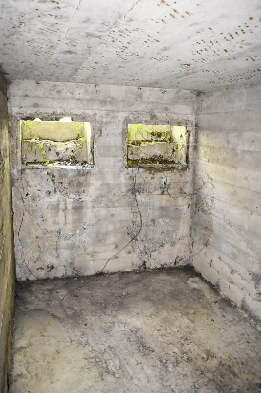 Ligne Maginot - HERRENFELD (II/34°RIF ) - (PC de Quartier) - Abri 2 - D. Froehly