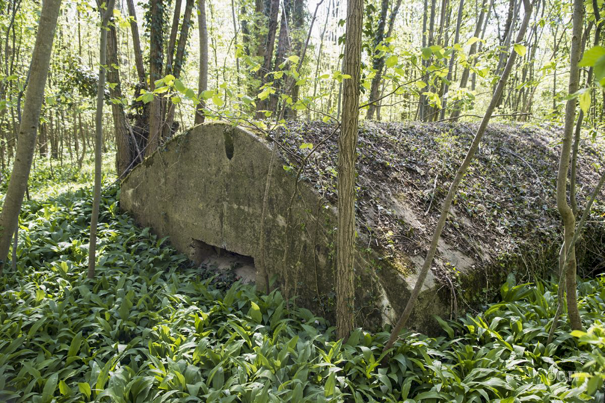 Ligne Maginot - HERRENFELD (II/34°RIF ) - (PC de Quartier) - Abri 4 - Lia VERMEULEN