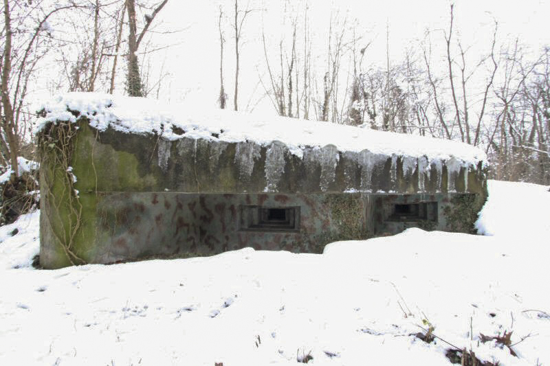 Ligne Maginot - HERRENFELD EST - (Abri actif) -  - Les Gardiens du Rhin