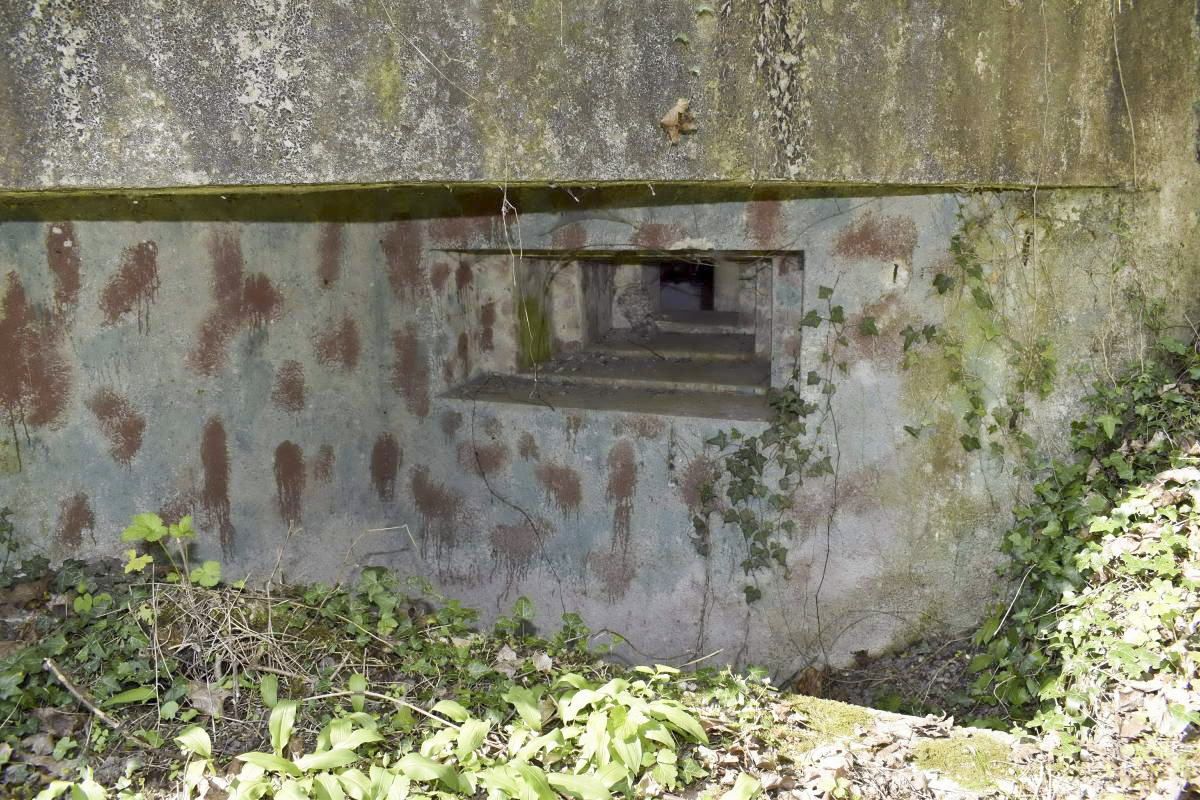 Ligne Maginot - HERRENFELD EST - (Abri actif) - Exemple de camouflage sur créneau - D. Froehly