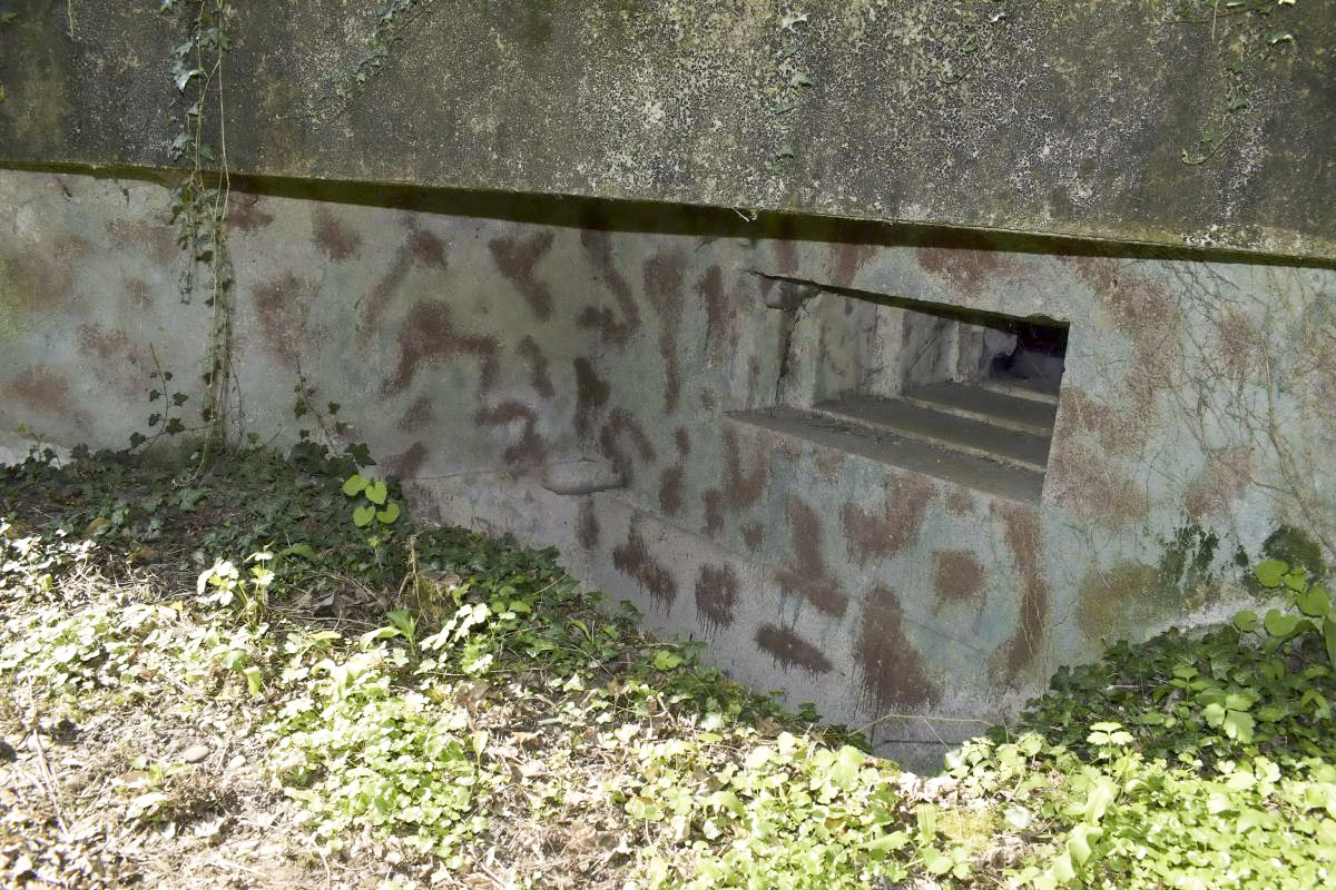 Ligne Maginot - HERRENFELD EST - (Abri actif) - Exemple de camouflage sur créneau - D. Froehly
