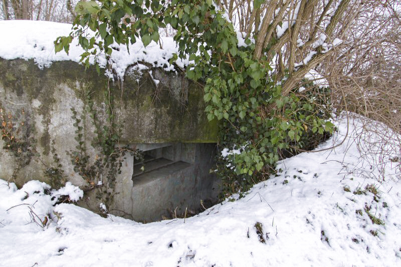 Ligne Maginot - HERRENFELD EST - (Abri actif) -  - Les Gardiens du Rhin