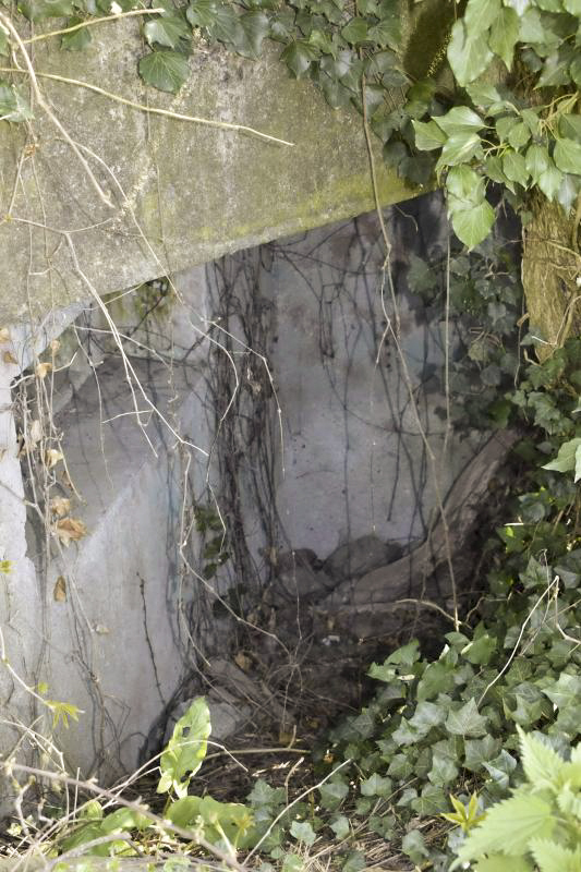 Ligne Maginot - HERRENFELD EST - (Abri actif) - Créneau sud - D. Froehly