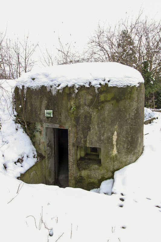 Ligne Maginot - HERRENFELD EST - (Abri actif) -  - Les Gardiens du Rhin