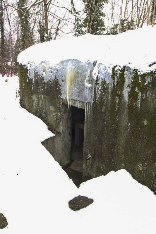 Ligne Maginot - HERRENFELD EST - (Abri actif) -  - Les Gardiens du Rhin