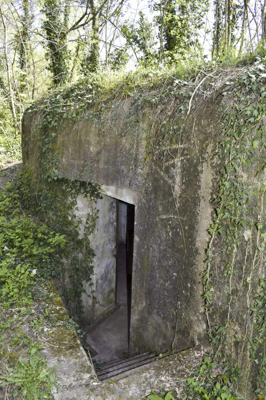 Ligne Maginot - HERRENFELD EST - (Abri actif) - Entrée nord - D. Froehly
