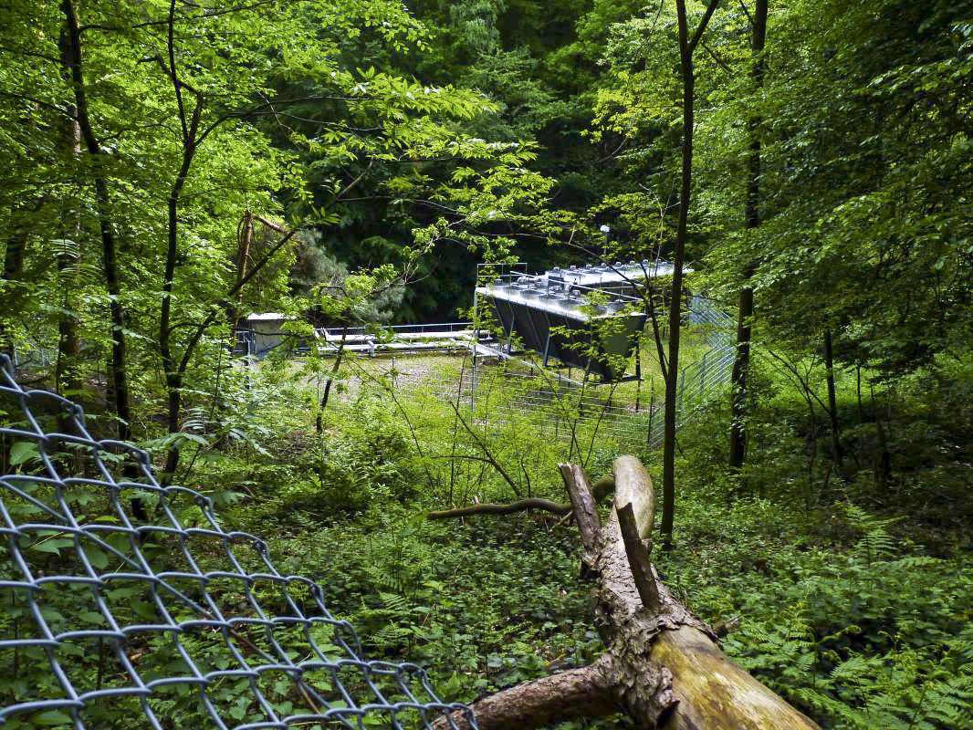 Ligne Maginot - HOCHWALD - (Ouvrage d'artillerie) - Bloc 9
Entrée des hommes Ouest - KLINGEL Sven