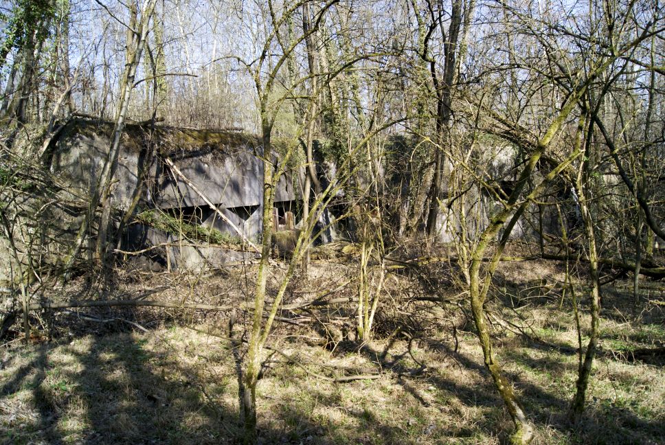 Ligne Maginot - HOCHWALD - (Ouvrage d'artillerie) - Bloc 16
Coffre de contrescarpe du fossé antichar de l'ouvrage ouest - Inconnu